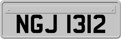 NGJ1312