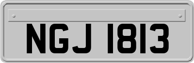 NGJ1813