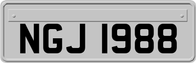 NGJ1988