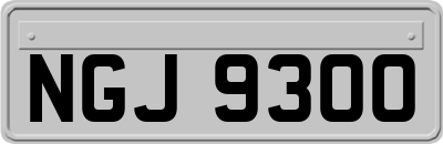 NGJ9300