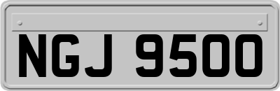 NGJ9500