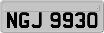 NGJ9930