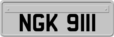 NGK9111