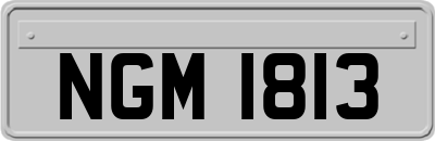 NGM1813