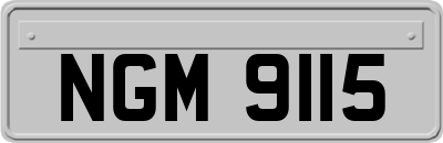 NGM9115
