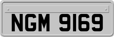 NGM9169