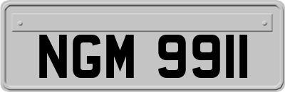 NGM9911