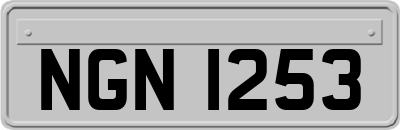 NGN1253