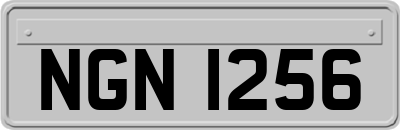 NGN1256