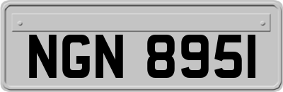 NGN8951