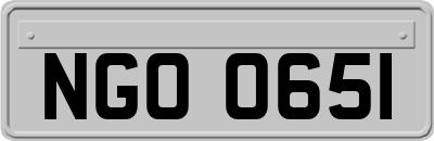 NGO0651