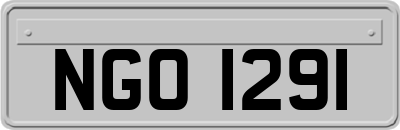NGO1291