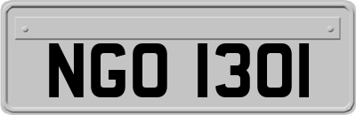NGO1301