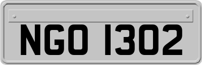 NGO1302