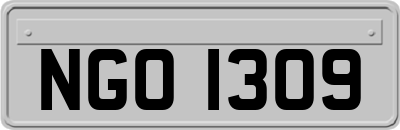 NGO1309