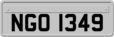 NGO1349