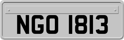 NGO1813