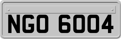 NGO6004