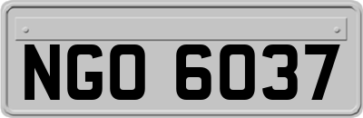 NGO6037