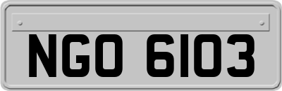 NGO6103