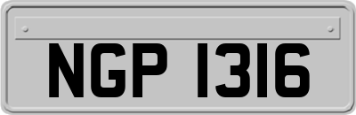 NGP1316
