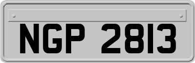 NGP2813