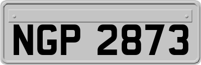 NGP2873