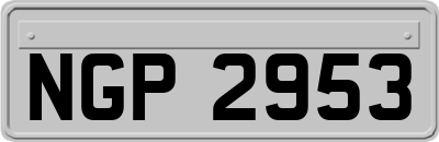 NGP2953
