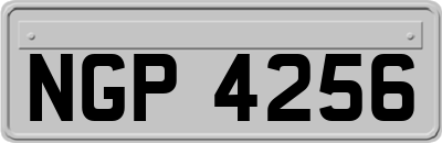 NGP4256