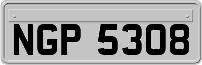 NGP5308