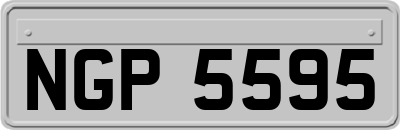 NGP5595