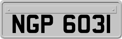 NGP6031