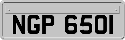 NGP6501