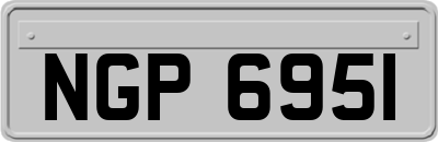 NGP6951