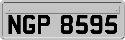 NGP8595