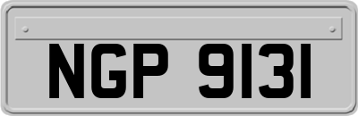 NGP9131