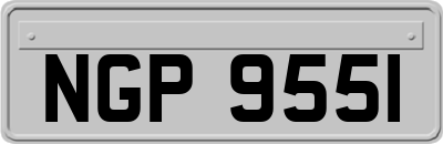 NGP9551