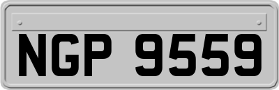 NGP9559