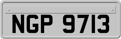 NGP9713