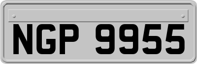 NGP9955