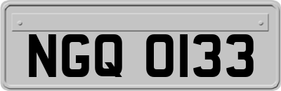 NGQ0133