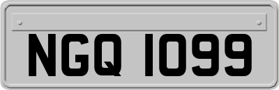 NGQ1099
