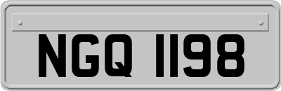 NGQ1198