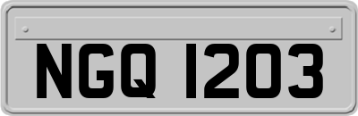 NGQ1203
