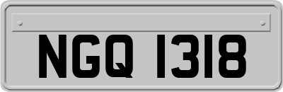 NGQ1318