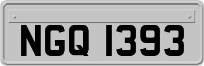 NGQ1393