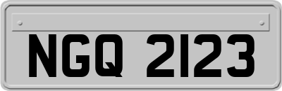 NGQ2123