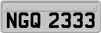 NGQ2333