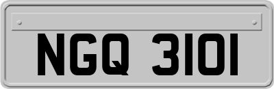 NGQ3101