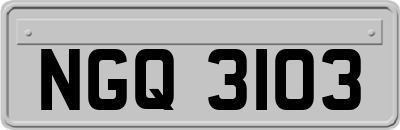 NGQ3103